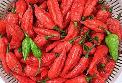 辣椒辣度排名_辣椒辣度图片(2)