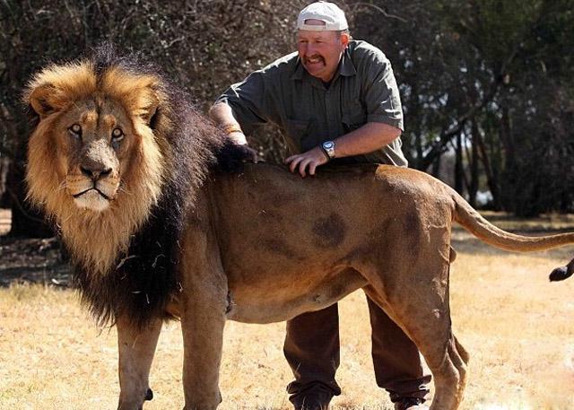 这种动物全世界只有一百只, 中国一只都没有, 比熊猫珍贵百倍!