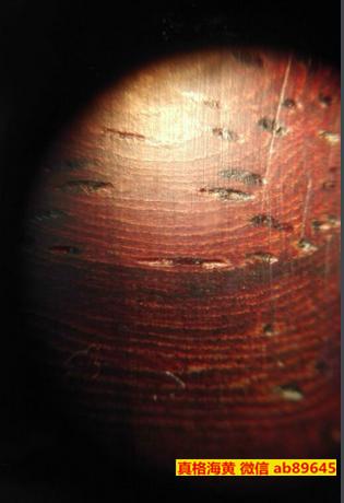 明代的海南黄花梨才是最好? <wbr>显微镜下来看看古代与现代的区别! 明代的海南黄花梨才是最好? <wbr>显微镜下来看看古代与现代的区别!