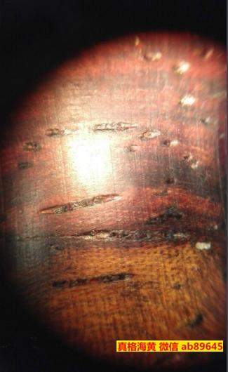 明代的海南黄花梨才是最好? <wbr>显微镜下来看看古代与现代的区别! 明代的海南黄花梨才是最好? <wbr>显微镜下来看看古代与现代的区别!