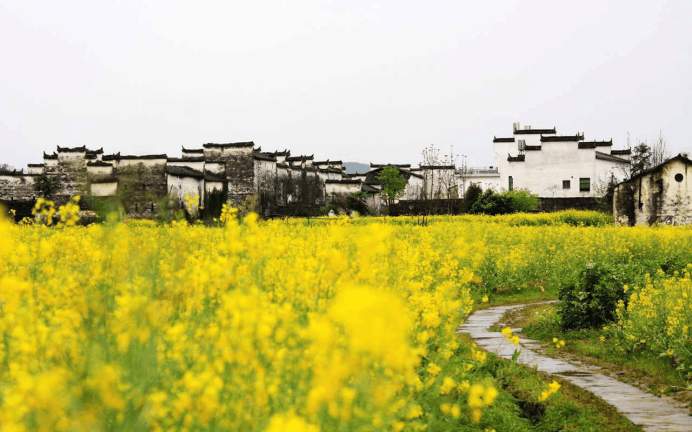 错过清明小长假, 这些美景还需要再等一年-锋巢网