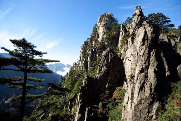 错过清明小长假, 这些美景还需要再等一年-锋巢网