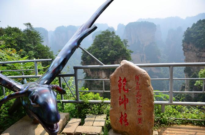 张家界地陪,张家界地导推荐2017张家界游玩攻