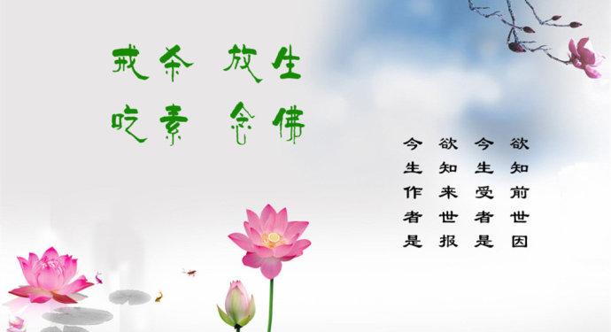 放生的曲谱_放生最慈悲曲谱(3)