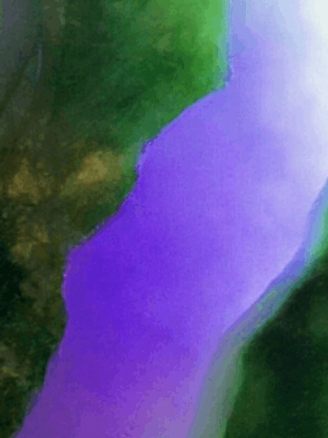 一块青蛙皮的会卡赌石, <wbr>12万没人要, <wbr>老板开窗后乐坏了!