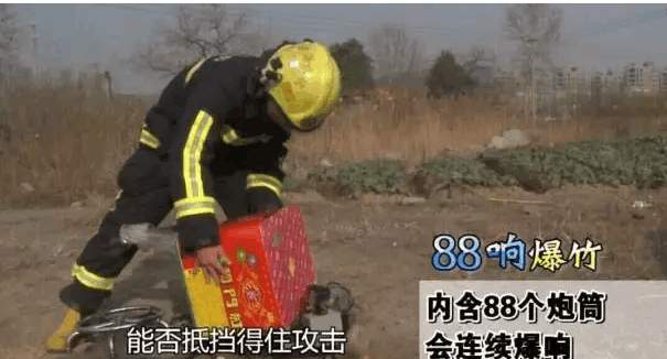 男子放烟花射穿车门崩死后排乘客, 只怪日本车皮太薄?