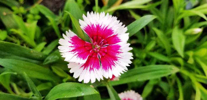 超高顏值旗艦, 安卓年度機(jī)皇三星Note8體驗(yàn) 超高顏值旗艦, 安卓年度機(jī)皇三星Note8體驗(yàn)