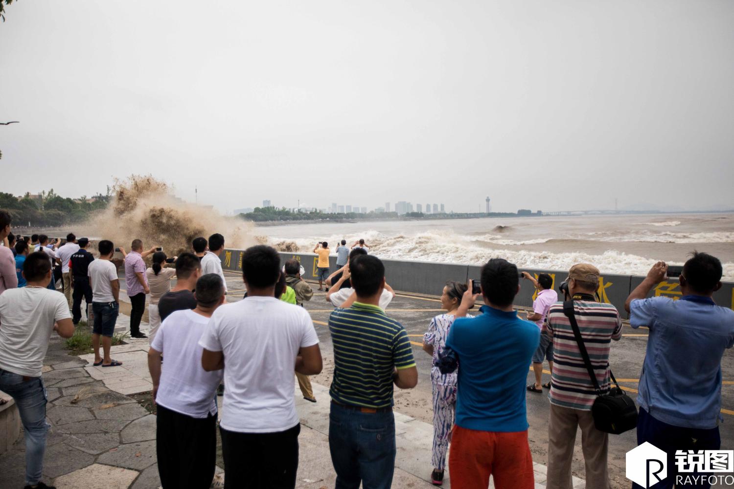 钱塘江“鬼王潮”来袭 男子爬四五米高的树上“偷偷看”