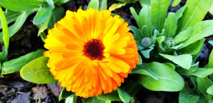 超高顏值旗艦, 安卓年度機(jī)皇三星Note8體驗(yàn) 超高顏值旗艦, 安卓年度機(jī)皇三星Note8體驗(yàn)