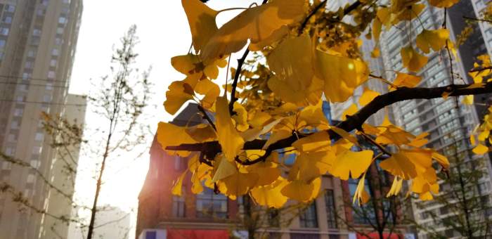 超高顏值旗艦, 安卓年度機(jī)皇三星Note8體驗(yàn) 超高顏值旗艦, 安卓年度機(jī)皇三星Note8體驗(yàn)