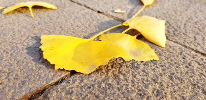 超高顏值旗艦, 安卓年度機(jī)皇三星Note8體驗(yàn) 超高顏值旗艦, 安卓年度機(jī)皇三星Note8體驗(yàn)