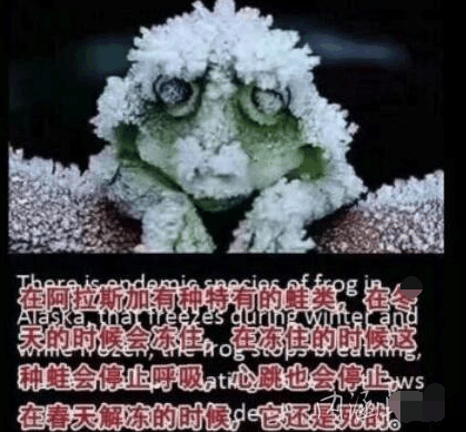 奇葩买家秀|是不打算嫁出去了吗