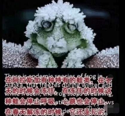 奇葩买家秀|是不打算嫁出去了吗