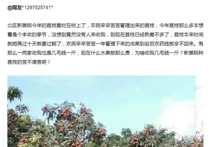 钦州新棠镇各村人口_钦州新棠镇图片(3)