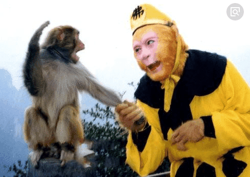 “六小龄童”被炮轰: 除了《西游记》你还有什么? 网友回复却人陷入沉思