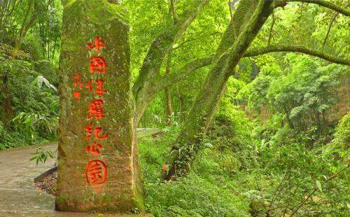 贵州赤水|与恐龙同岁的国家级生态自然保护区