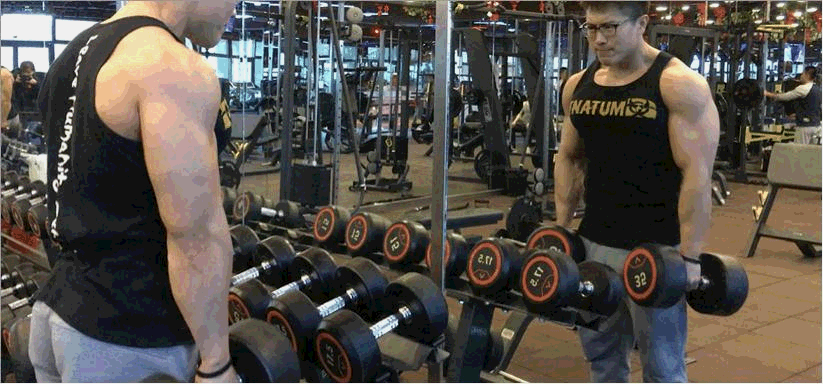 海阔天空0rdktt 馆藏分类 第三个动作,哑铃侧平举,训练时双臂微微弯曲