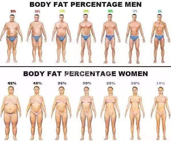 男女体脂率体型对照表,可以先看看自己体脂大概是多少