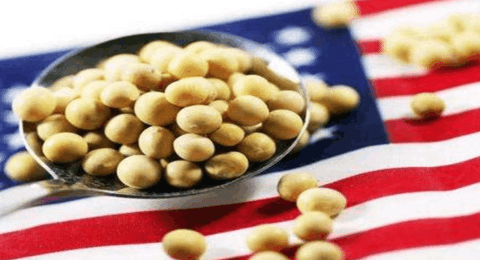 为什么美国即使亏本也要坚持向中国出口大豆? 说出来你都不敢相信