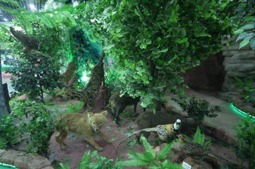 贵州赤水|与恐龙同岁的国家级生态自然保护区 贵州赤水|与恐龙同岁的国家级生态自然保护区