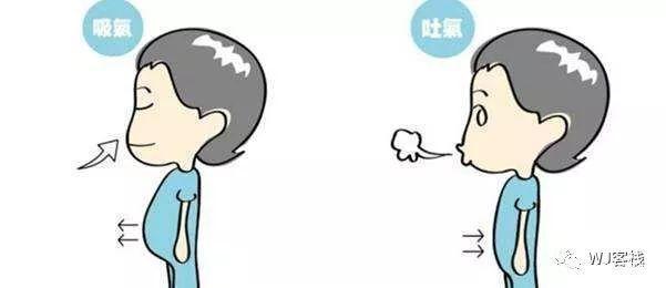 腹式呼吸图片