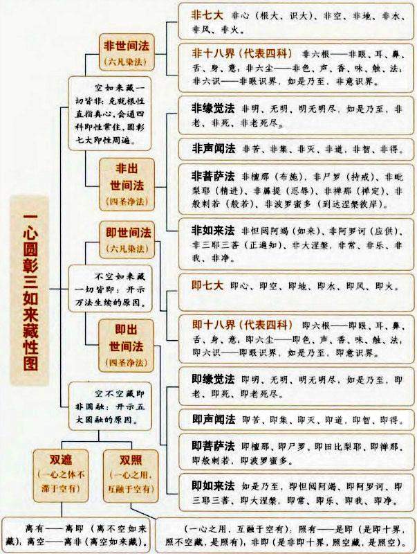 问津佛教经典未久,将《 法华经》与《 心经》,《 楞严经》等诸经典