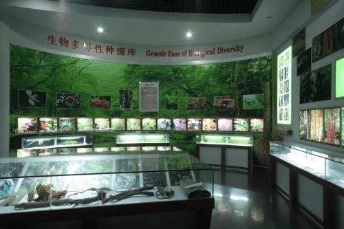 贵州赤水|与恐龙同岁的国家级生态自然保护区