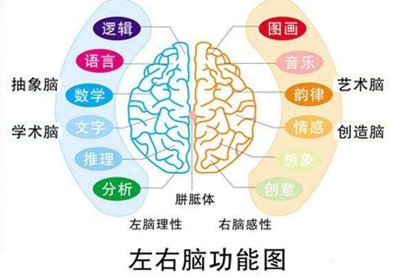 围棋对左右脑的开发 围棋对左右脑的开发