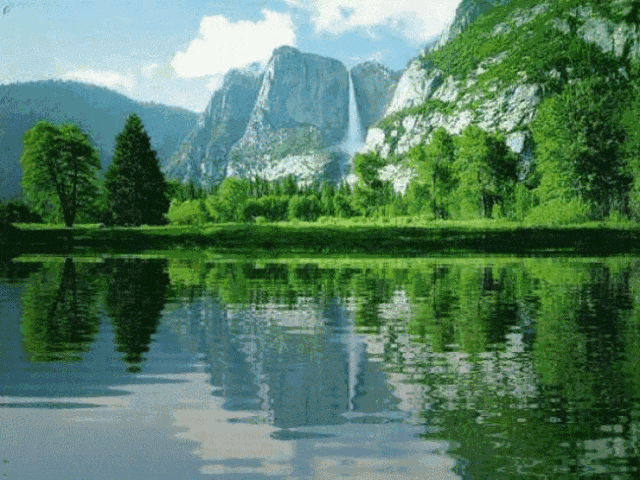 每天看手机, 眼睛越来越容易累, 送你一组图片, 放松一下心情吧