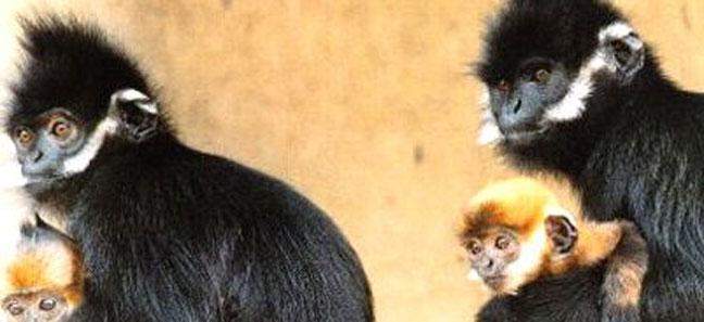 贵州赤水|与恐龙同岁的国家级生态自然保护区 贵州赤水|与恐龙同岁的国家级生态自然保护区