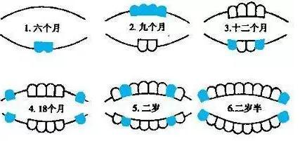 10个月宝宝还没长牙, 是缺钙了?