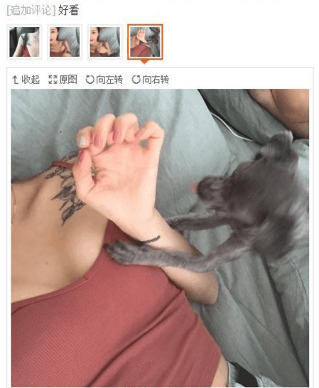 奇葩买家秀|隔着屏幕都闻到一股味儿