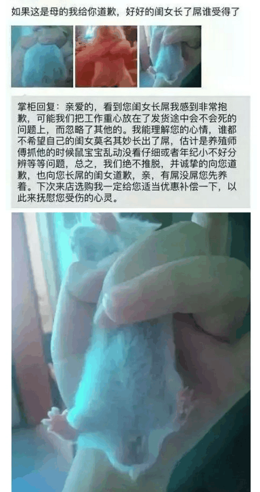 奇葩买家秀|这一??买家秀绝壁要给她好评