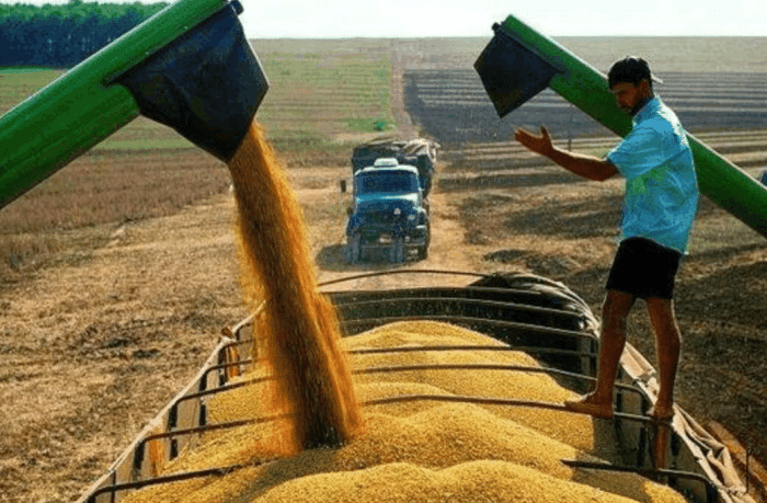 为什么美国即使亏本也要坚持向中国出口大豆? 说出来你都不敢相信