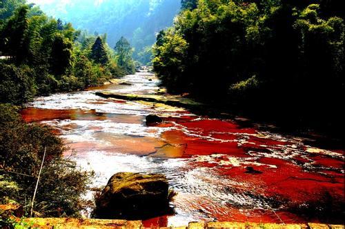 贵州赤水|与恐龙同岁的国家级生态自然保护区 贵州赤水|与恐龙同岁的国家级生态自然保护区