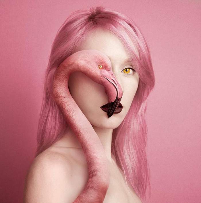 画一个人脸眼斜嘴歪猜一成语_一个人一只鸟成语猜图(3)