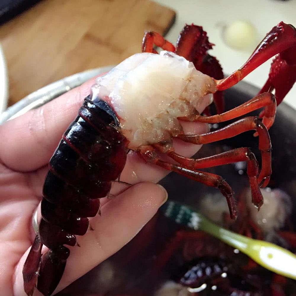 小龙虾到底有多脏! 大厨教你一招, 轻松解决寄生虫! 吃的干净又放心!
