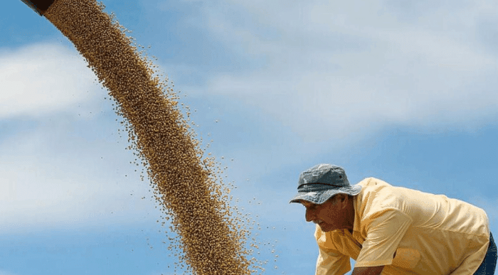 为什么美国即使亏本也要坚持向中国出口大豆? 说出来你都不敢相信