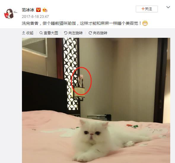 范冰冰晒猫咪, 床头的“不明物体”不小心暴露了女神的尺寸