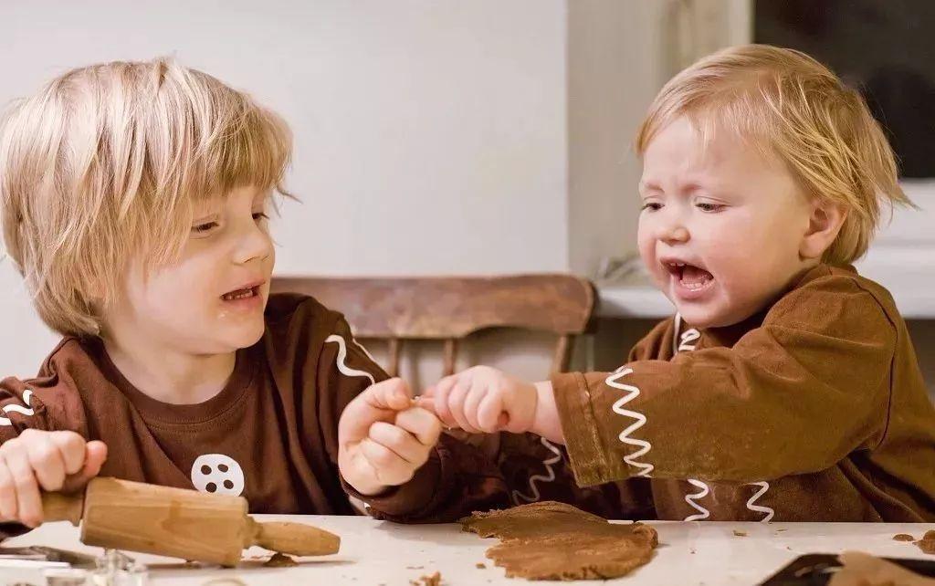 独生子女很好, 甭再说要给孩子一个伴儿了