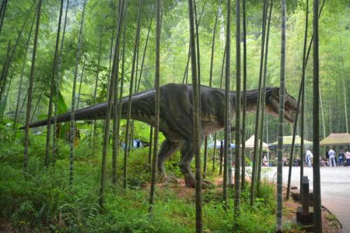 贵州赤水|与恐龙同岁的国家级生态自然保护区 贵州赤水|与恐龙同岁的国家级生态自然保护区