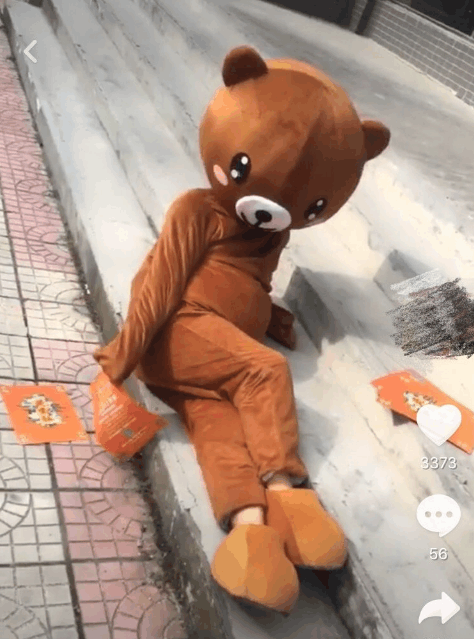 抖音"最美网红熊"走红,生图意外流出,网友:温婉还算什么了?