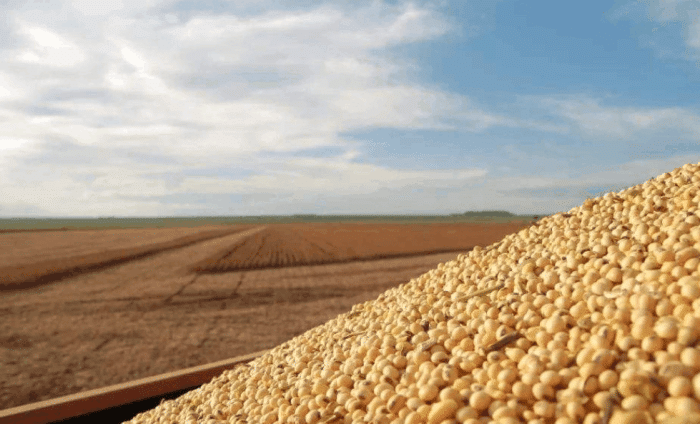 为什么美国即使亏本也要坚持向中国出口大豆? 说出来你都不敢相信