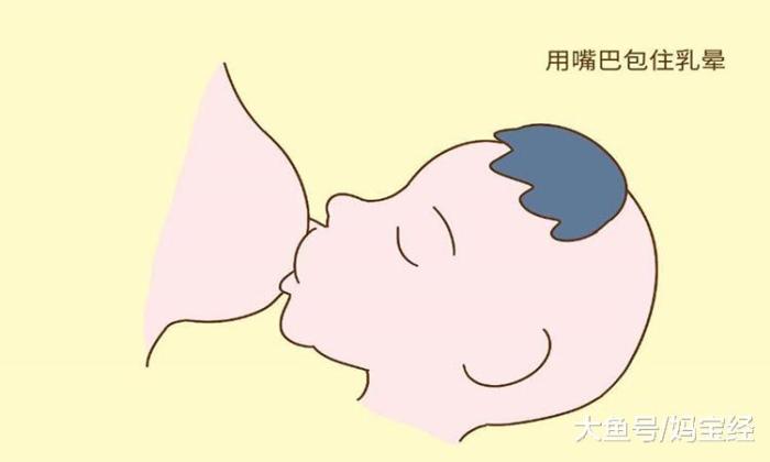 婴儿永远都是最好的"催乳师",经常进行哺乳有助于妈妈们的催乳素分泌