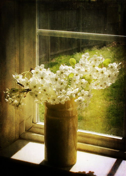 周易算命:8月逃不掉大运的5大生肖,赚大钱、成大款、换大房!