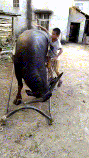 搞笑gif:姑娘,你对这个杯子做了什么?