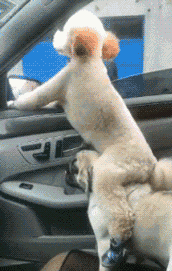 搞笑gif:上班之前不活动一下筋骨,工作时状态肯定不好