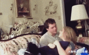 竟然敢在本汪面前秀恩爱