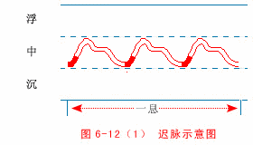 中医把脉手把手教,动图展示并心法口诀!