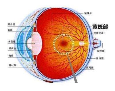 视神经萎缩的病因